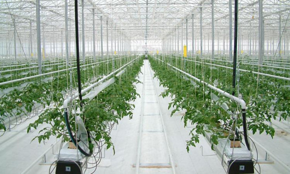 Агротекстиль Agrojutex белый 130г/м2 - 1x100м